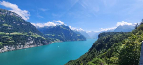 SoloHike MountainView Seelisberg